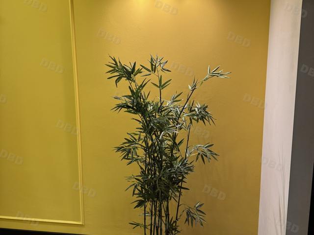 Friseursalon & Wellness CUTeria, Bonn, 12